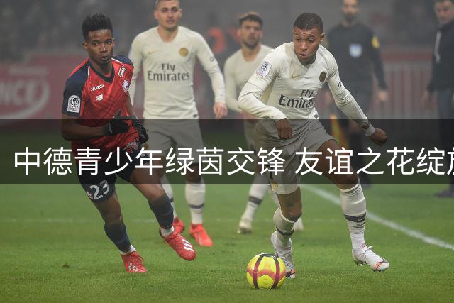 中德青少年绿茵交锋 友谊之花绽放雄安