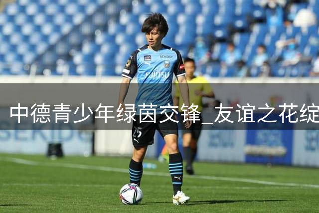 中德青少年绿茵交锋 友谊之花绽放雄安