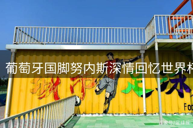 葡萄牙国脚努内斯深情回忆世界杯失利 称全队曾为C罗冠军梦而战